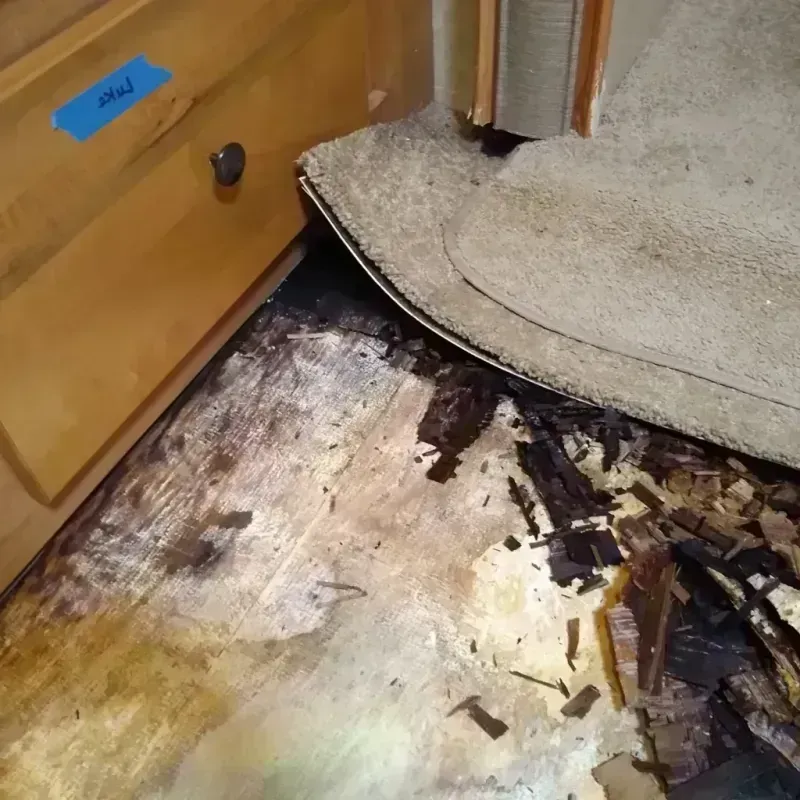 Wood Floor Water Damage in Heppner, OR